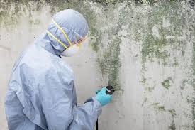 Best Air Quality Testing for Mold Spores  in Orleans, IN